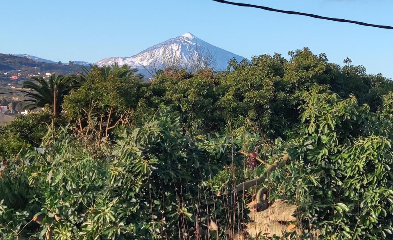 Finca El Trazo Tacoronte Bagian luar foto