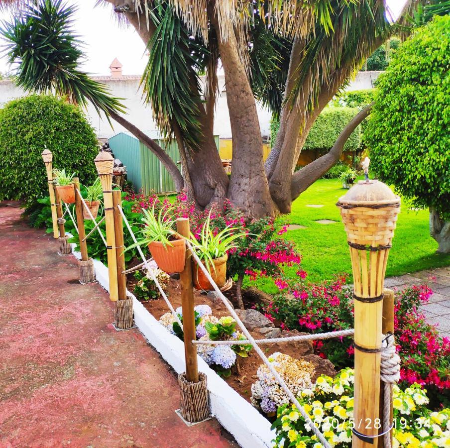 Finca El Trazo Tacoronte Bagian luar foto