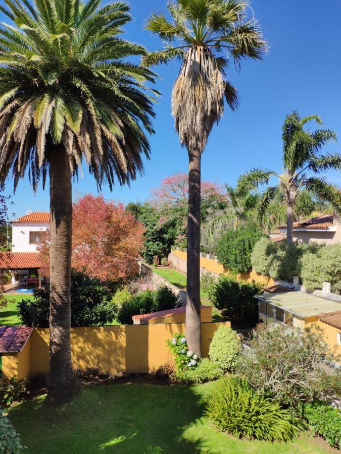 Finca El Trazo Tacoronte Bagian luar foto