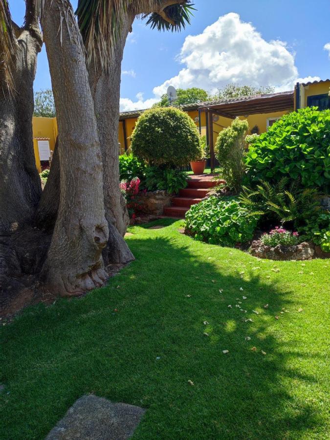 Finca El Trazo Tacoronte Bagian luar foto