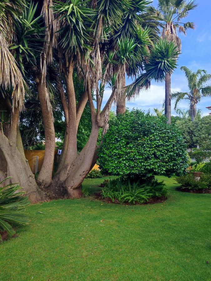 Finca El Trazo Tacoronte Bagian luar foto