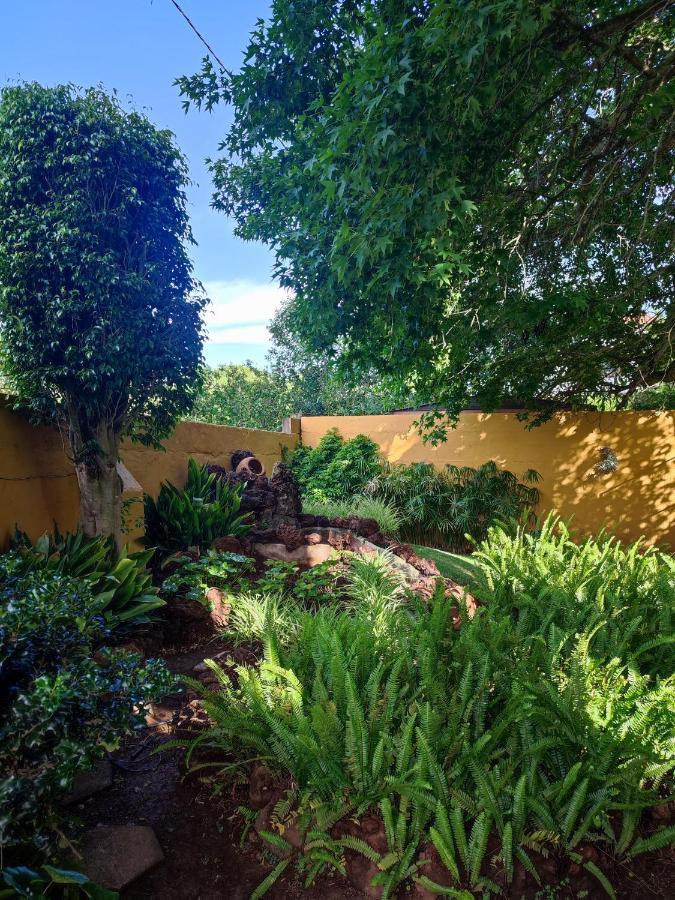 Finca El Trazo Tacoronte Bagian luar foto